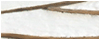 bas relief-11